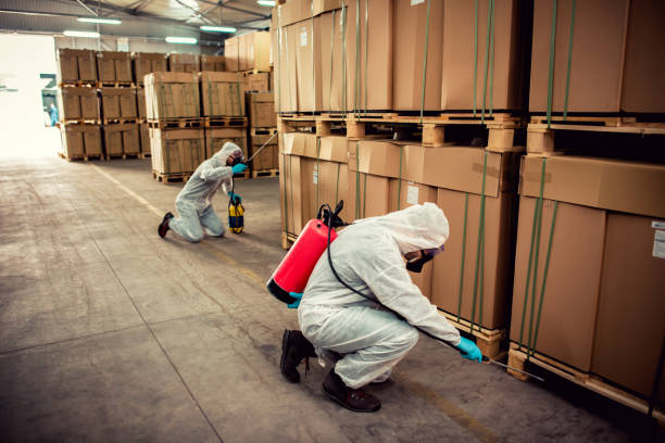 Best Bed Bug Extermination  in Bayou Lourse, LA