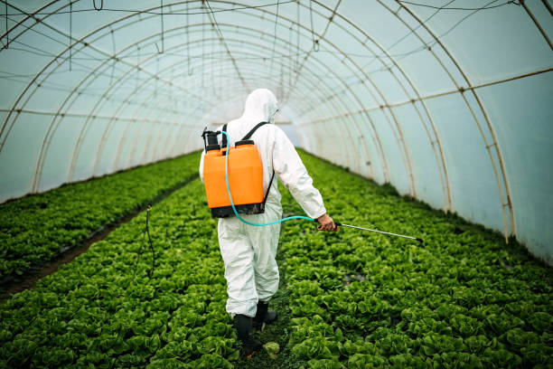 Best Pest Control Near Me  in Bayou Lourse, LA