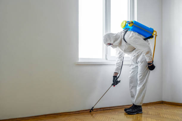 Best Pest Control for Homes  in Bayou Lourse, LA