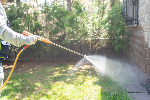 Best Local Pest Control Services  in Bayou Lourse, LA