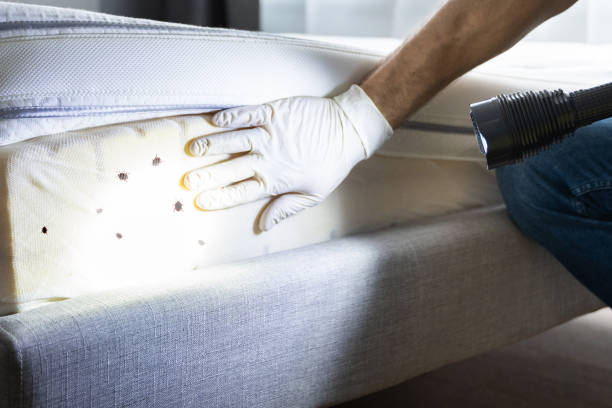 Best Best Pest Control Companies  in Bayou Lourse, LA