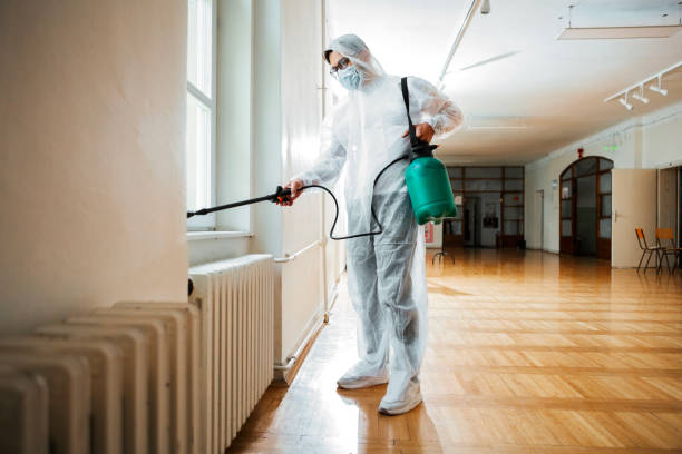 Best Best Pest Control Companies  in Bayou Lourse, LA