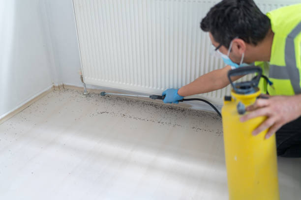 Best Affordable Pest Control Services  in Bayou Lourse, LA