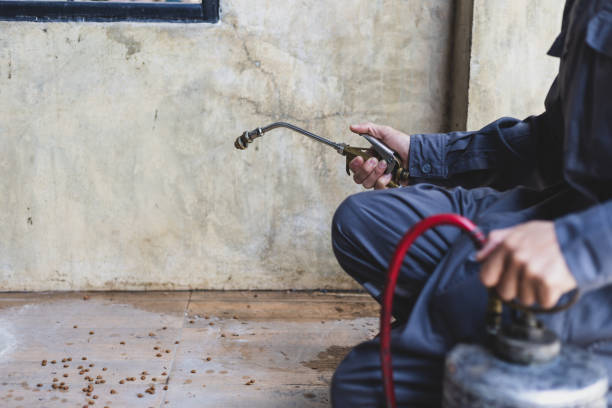 Best Residential Pest Control  in Bayou Lourse, LA
